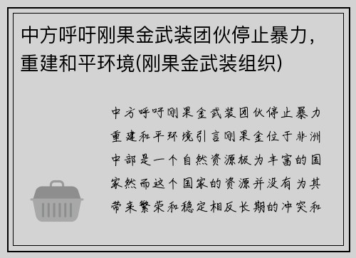 中方呼吁刚果金武装团伙停止暴力，重建和平环境(刚果金武装组织)