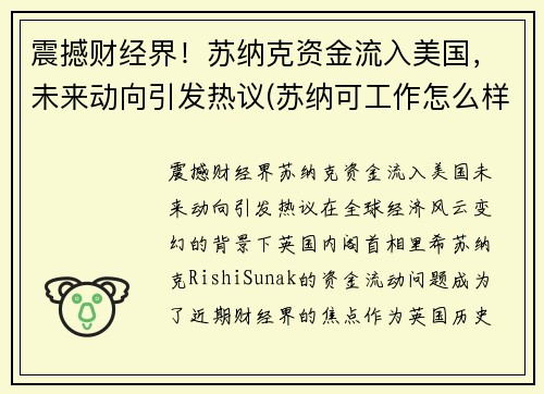 震撼财经界！苏纳克资金流入美国，未来动向引发热议(苏纳可工作怎么样)